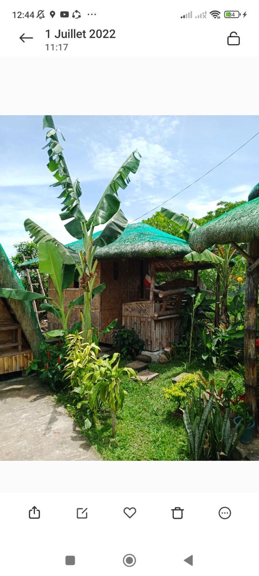 Dupas Luce Love Lodges Talipan Bagian luar foto